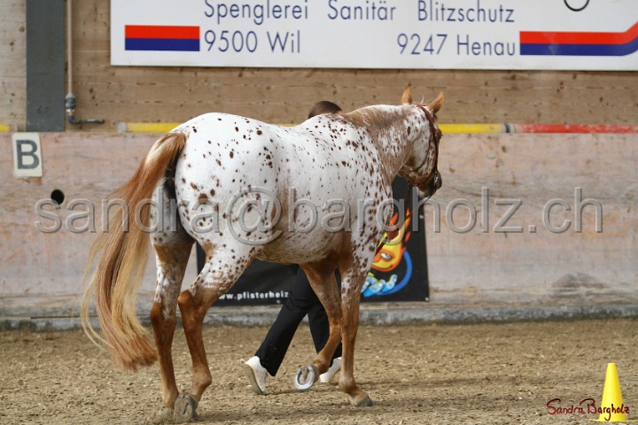 24-ApHC HIH_052.jpg